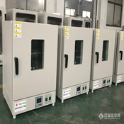 140L 200度立式電熱恒溫鼓風(fēng)干燥箱(DHG-9140A)